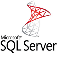 Freelancer  SQL Server Level-1