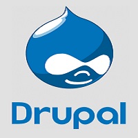 Freelancer  Drupal Level 1